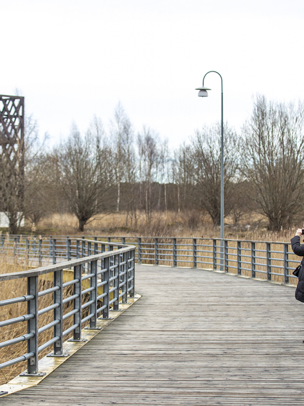Tallinnan Stroomin rantaan valmistui viime keväänä uusi lintutorni.