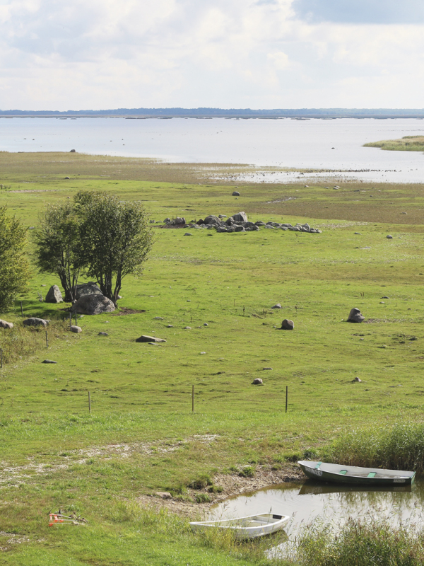 Matsalun Haeska on keväisin ja syksyisin yksi suosituimmista lintupaikoista Virossa.