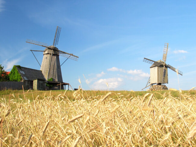 WINDMILLS