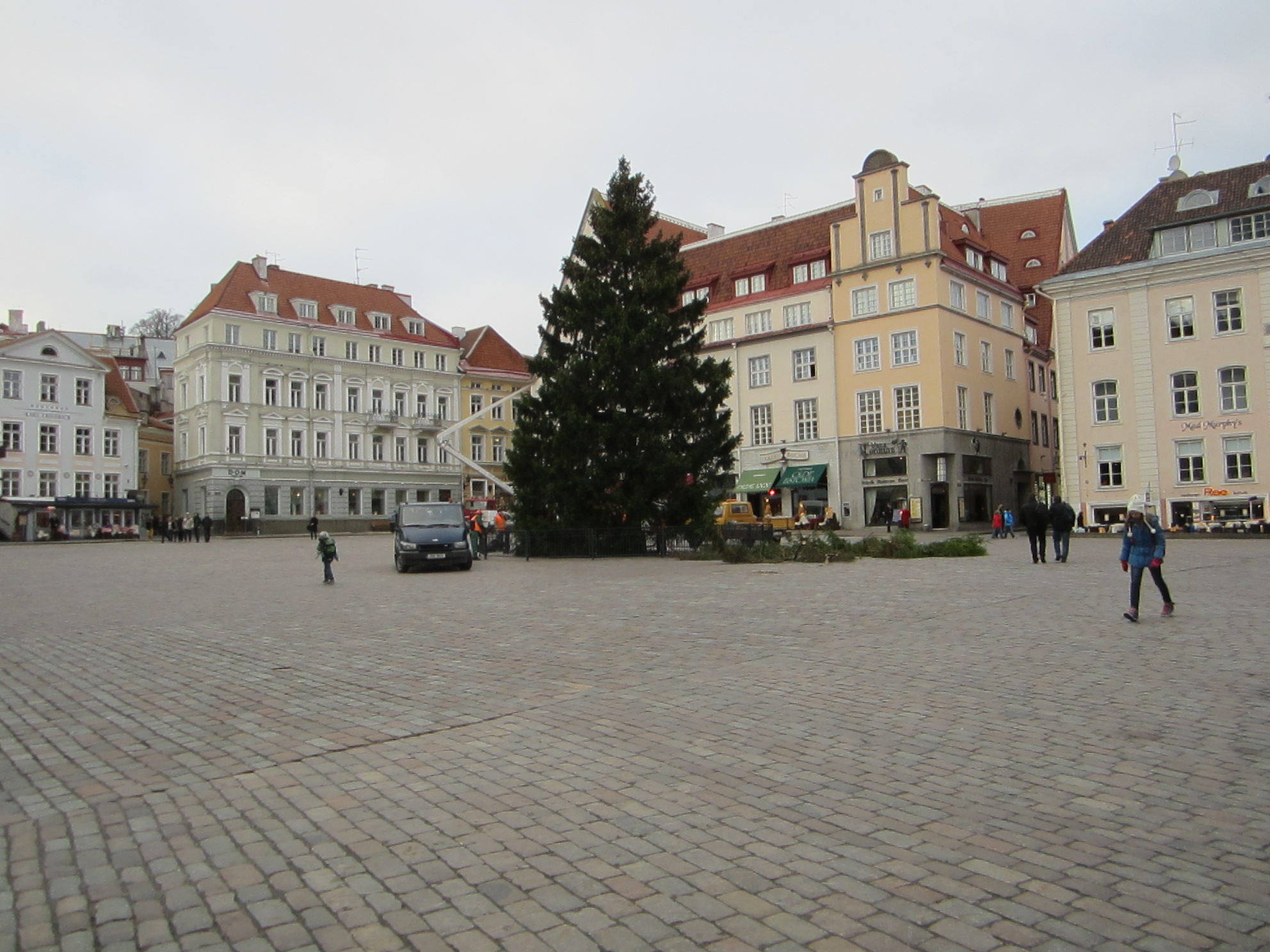16-метровая елка установлена на Ратушной площади Таллинна