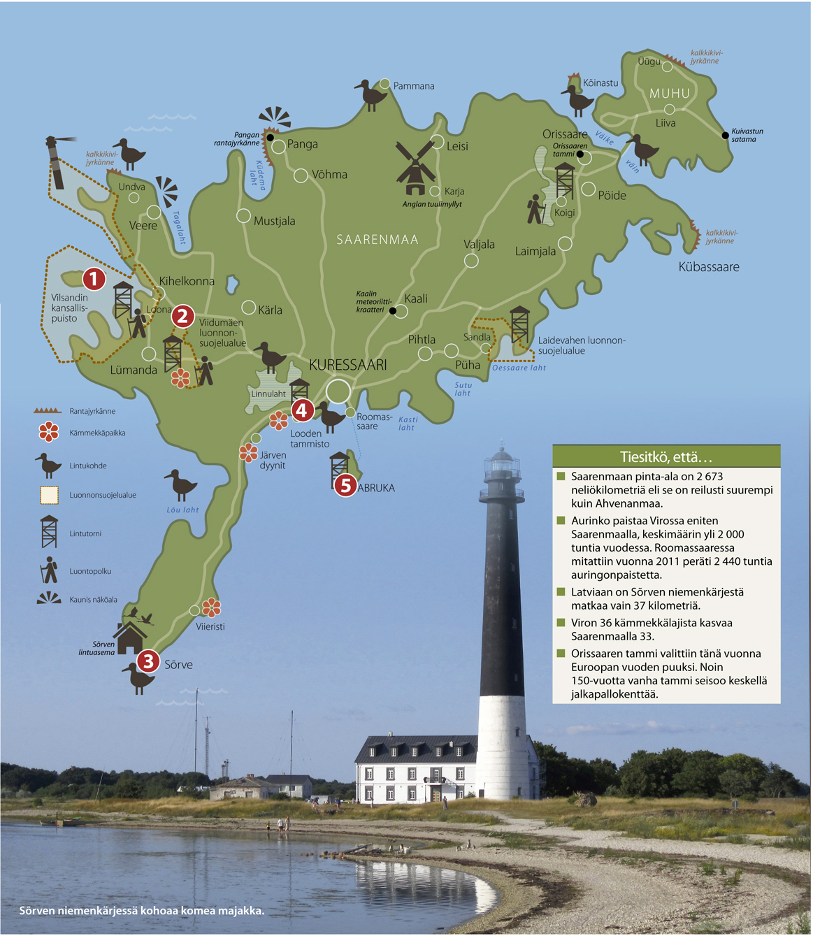 Luontoharrastajan paratiisisaari | The Baltic Guide OnlineThe Baltic Guide  Online