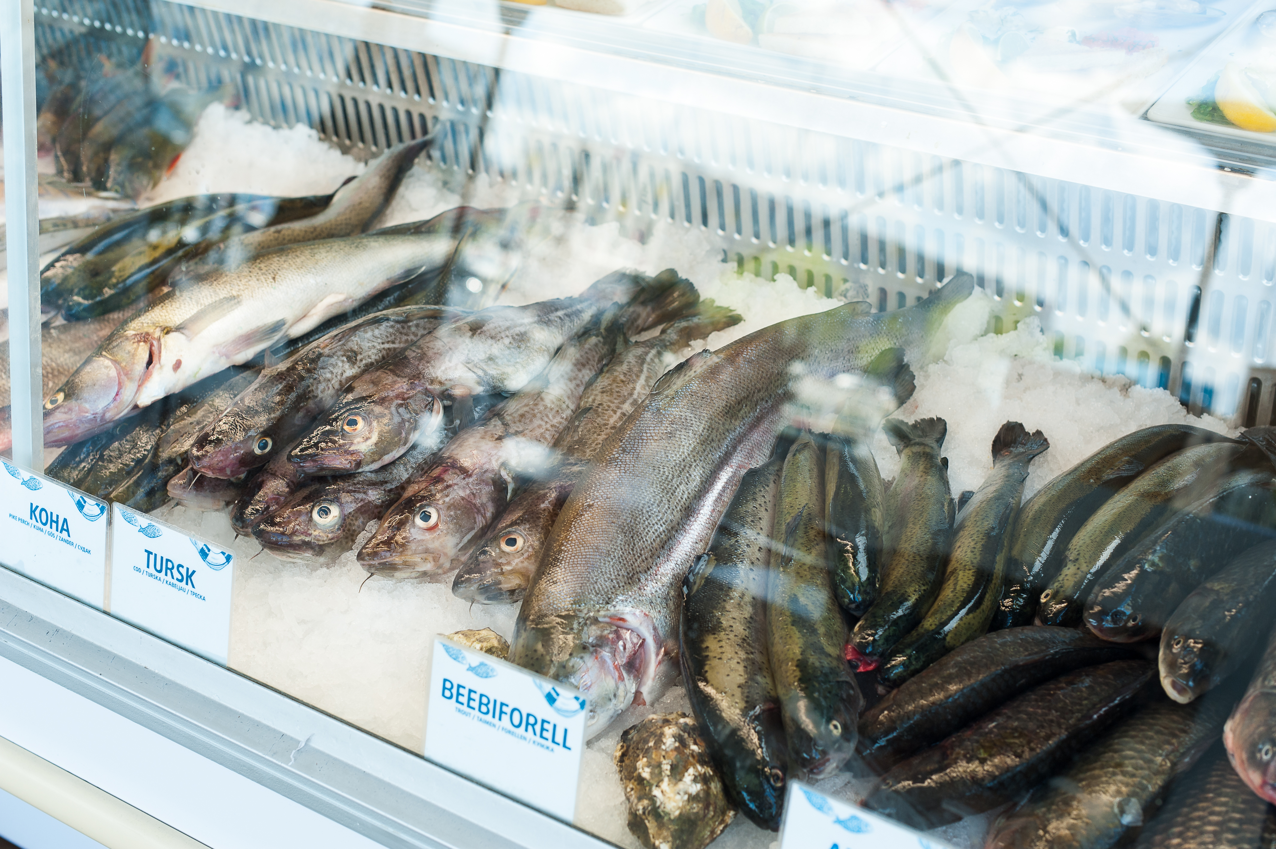В ресторане City Marina открылся рыбный рынок