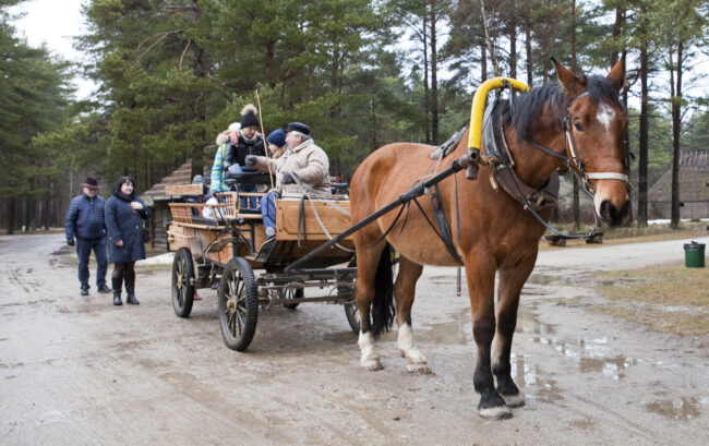 Hevoskyydillä maalaismaisemiin