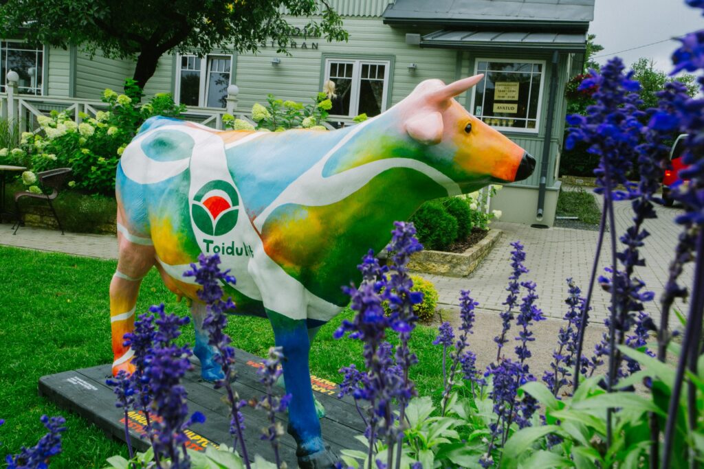 Разноцветная корова в центре Таллинна - The Baltic Guide Online