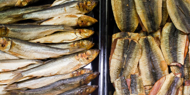 Lauantaina on Virossa avoimien kalasatamien päivä – vesien anteja on kaupan 23 satamassa