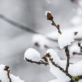 Lumimyräkkä yllätti Virossa