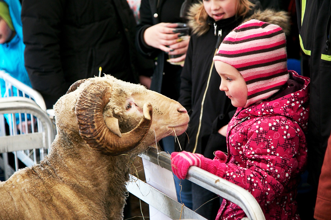 MaaMess is the largest countryside fair in Estonia