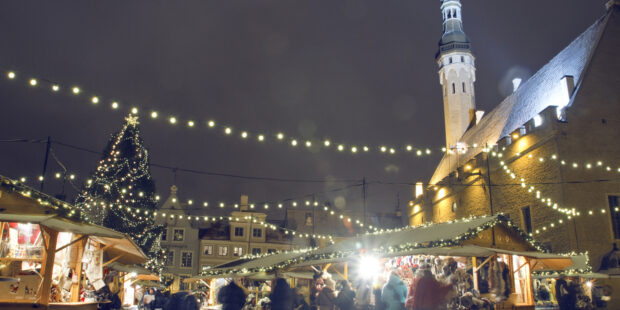 Joulukuusi tuodaan torstaina Raatihuoneentorille – Tallinnan joulutori avataan 16. marraskuuta