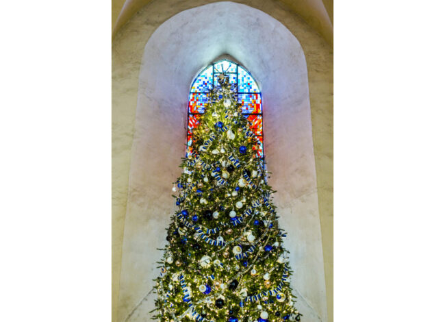 Tallinnan Nigulisten museon joulukuusi on upea nähtävyys – katso kuvat säkenöivästä joulupuusta