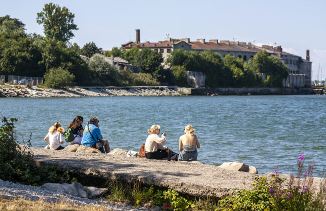 Tallinnan parhaat piknik-paikat