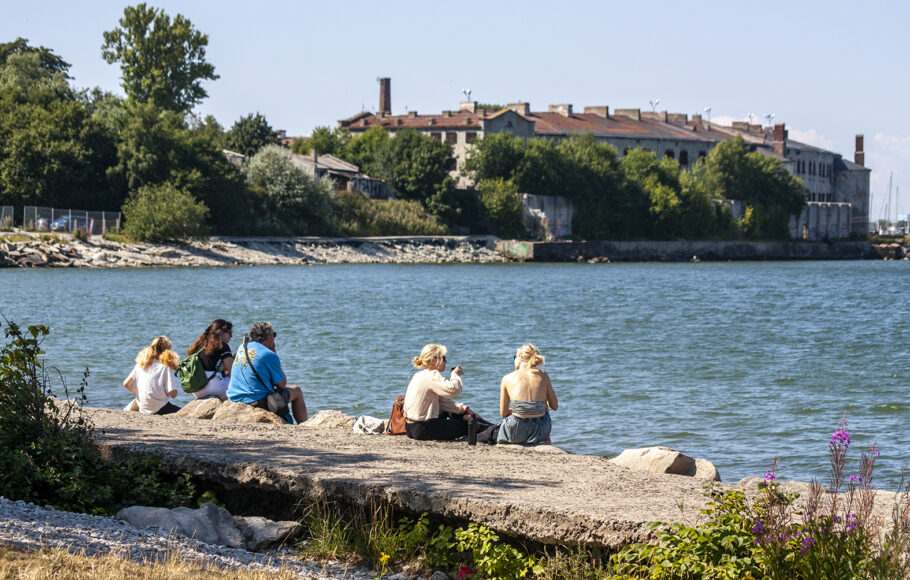 Tallinnan parhaat piknik-paikat