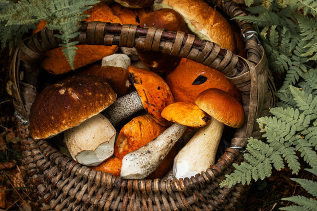 Syyskuu on virolaisen ruuan kuu – laita muistiin kiinnostavat ruokatapahtumat