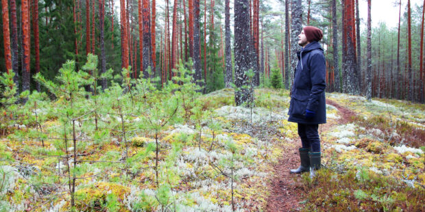 Metsä rauhoitti levottoman mielen – luonto-opas tuntee metsän terveysvaikutukset