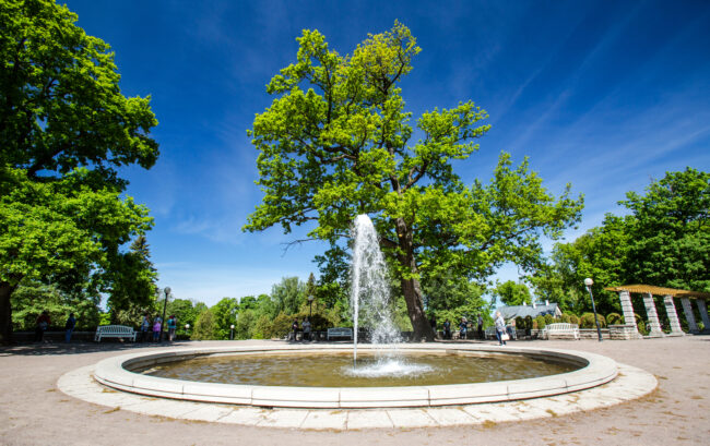 Tallinnan Kadriorgin puisto