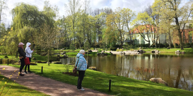 Tallinnan japanilainen puutarha Kadriorgin puistossa on vehreä keidas