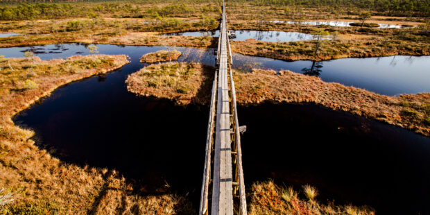 Viron soilla kulkee luontopolkuja jo lähes 100 kilometriä