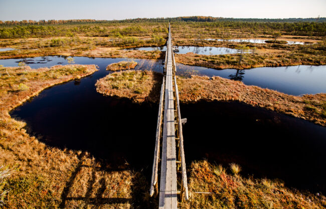 Viron soilla kulkee luontopolkuja jo lähes 100 kilometriä