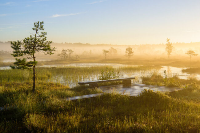 Viron kansallispuistojen lumoa