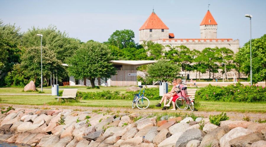 Kesäkuun ensimmäinen Virovisa. Testaa tietosi Virosta!
