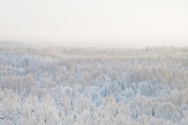 Warmer than average Winter expected for the Baltics and Scandinavia