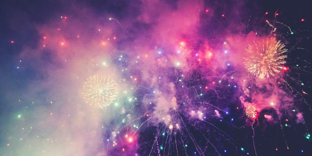 Both Tallinn city government and animal charities are asking people not to use fireworks during the festive period