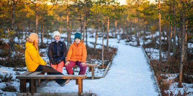 Etelä-Viro on mäkinen ja luminen satumaa