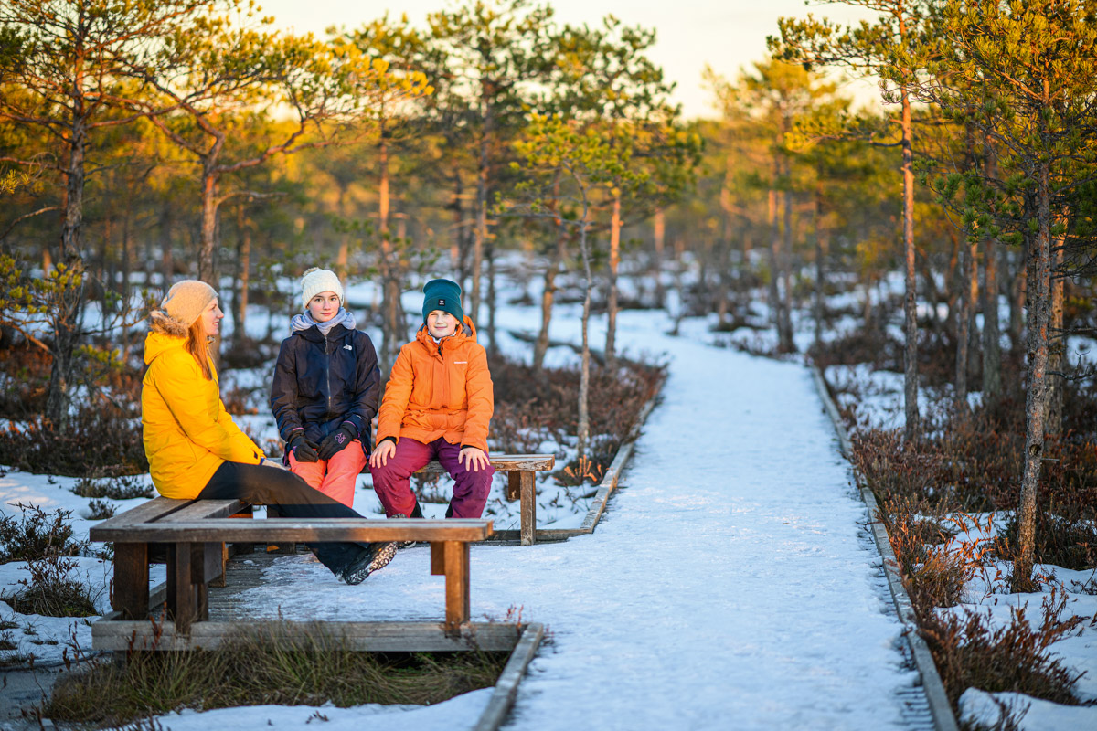 Etelä-Viro on mäkinen ja luminen satumaa
