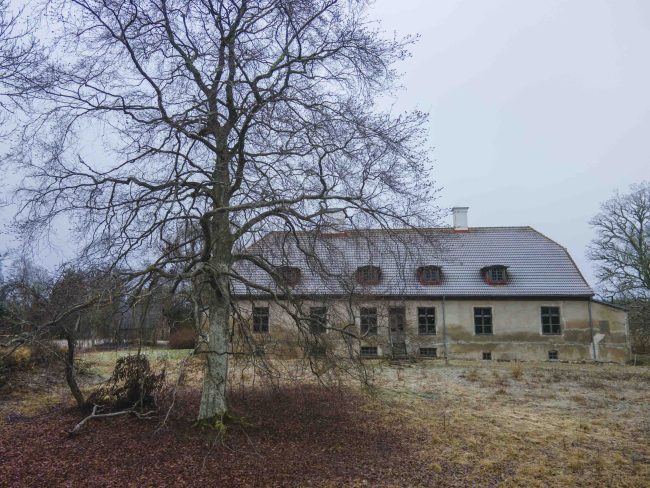 Voting is now open for European Tree of the Year 2023, this year Estonia is represented by a tree from Hiiumaa