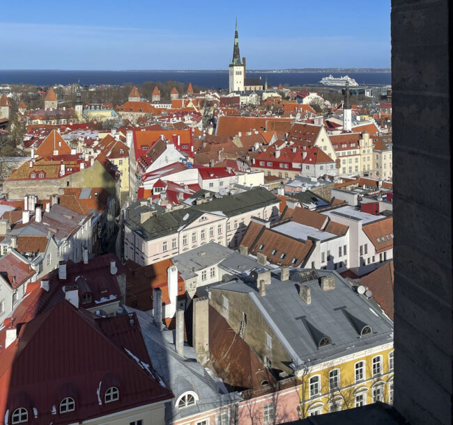 Niguliste museon näköalaterassi 1