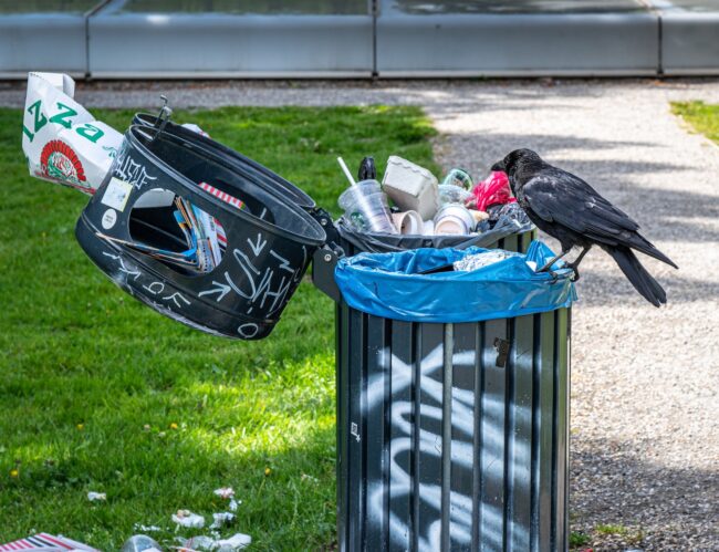 Tallinn Botanical Garden calls for a change in attitudes towards waste