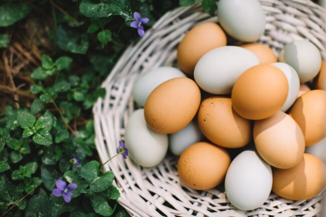 Prisma: over 40% of people buy the cheapest eggs