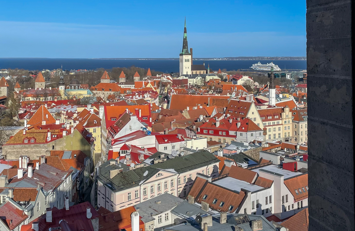 A wonderful view of Tallinn awaits from the top of the tower of Niguliste Museum