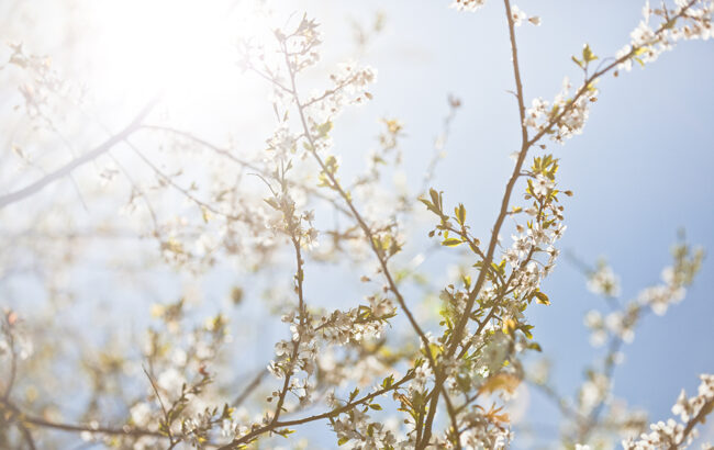 May was one of the driest months ever in Estonia