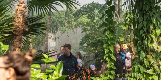 Tallinnan eläintarhan uudessa Kaakkois-Aasian sademetsätalossa on vieraillut jo yli 70 000 kävijää