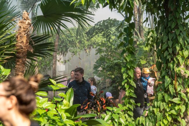 Over 70,000 people have already visited Tallinn Zoo’s new Southeast Asian Rainforest house