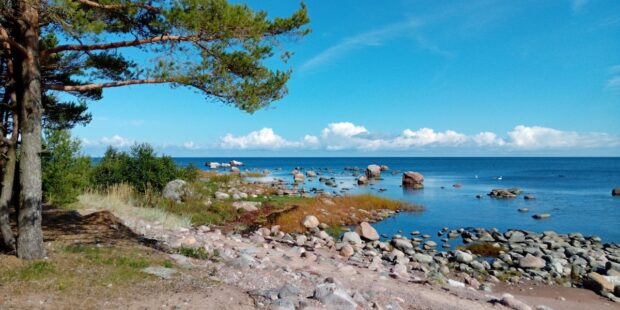 The Baltic Guide toivottaa hyvää Itämeripäivää!