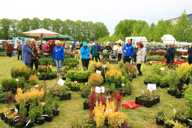 Pärnu Plant Fair begins today