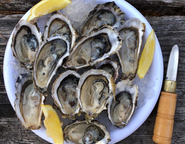 Taste more than 30 varieties of oyster in Tallinn today