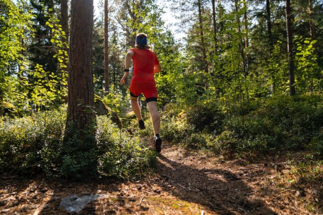 Run through the beautiful forests of Tartumaa