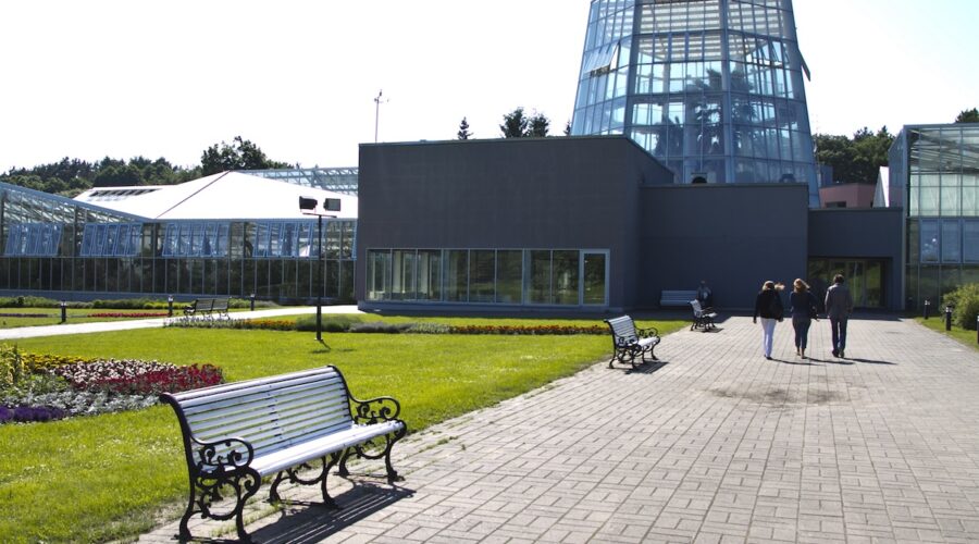 Tallinnan kasvitieteellisen puutarhan uusi näyttely esittelee yli 100 huonekasvia