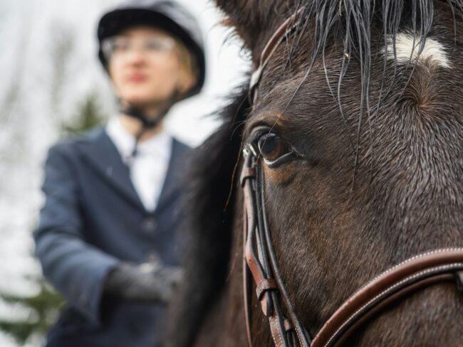 CHI Pärnu International Equestrian Festival returns in 2024 with additional competition