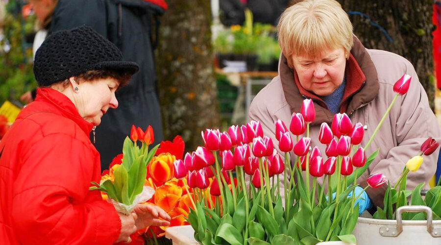 Türin kuuluisat kukka-markkinat juhlivat puutarha-kauden alkua