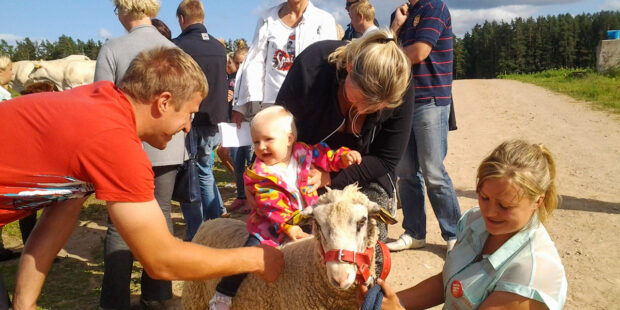 Discover rural life in Estonia at Open Farm Day 