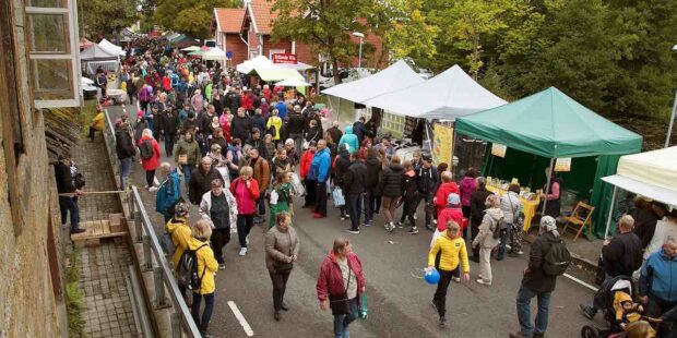 Koe virolaista markkinatunnelmaa Paunveren syysmarkkinoilla