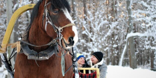 Explore the Christmas Village at the Open Air Museum