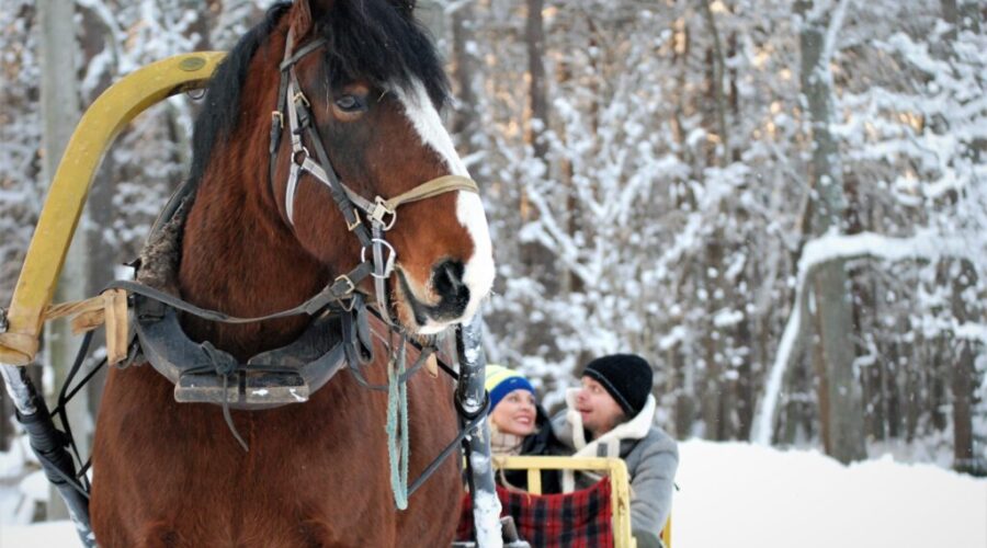 Explore the Christmas Village at the Open Air Museum