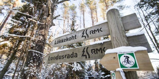 Viron valtion metsäkeskus tarjoaa talvisia elämyksiä lapsiperheille