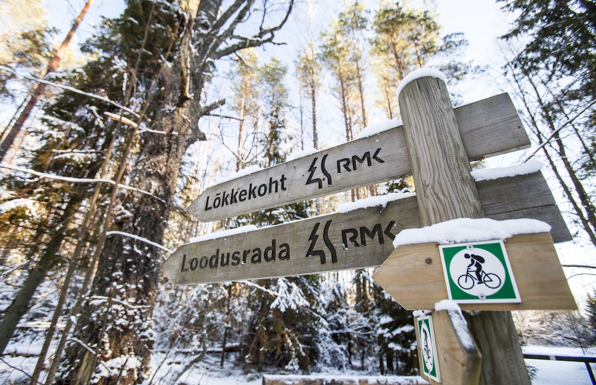 Viron valtion metsäkeskus tarjoaa talvisia elämyksiä lapsiperheille