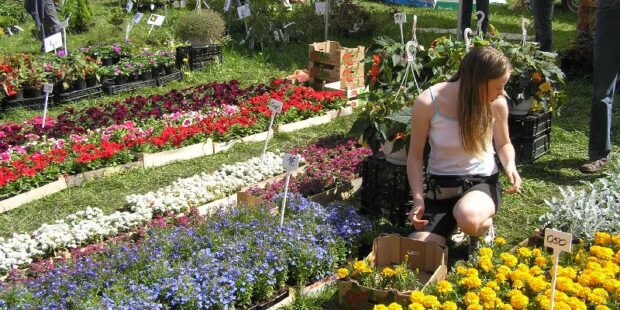 Summer Travel Tips in Estonia