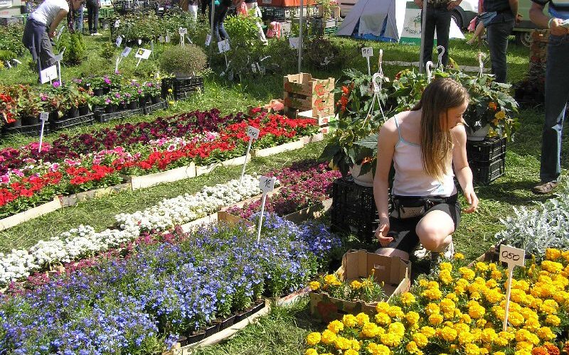 Summer Travel Tips in Estonia